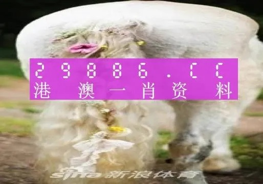 标准说明:600图库免费资料百度并且大三巴一肖一码牛头马面40133.C0m专家解读解释与落实,规避不实鼓吹